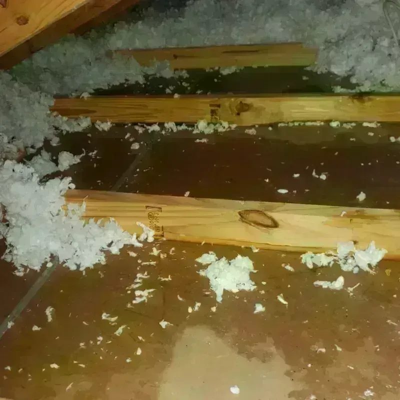 Attic Water Damage in Martinsville, NJ