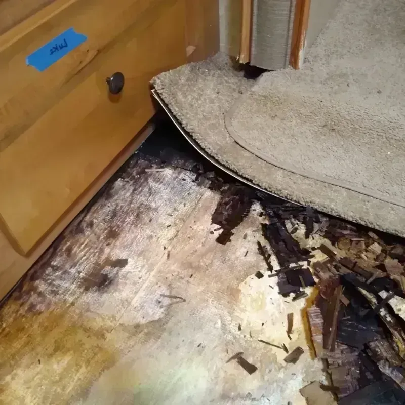 Wood Floor Water Damage in Martinsville, NJ